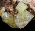 Yellow Cubic Fluorite - El Hammam Mine, Morocco #44881-1